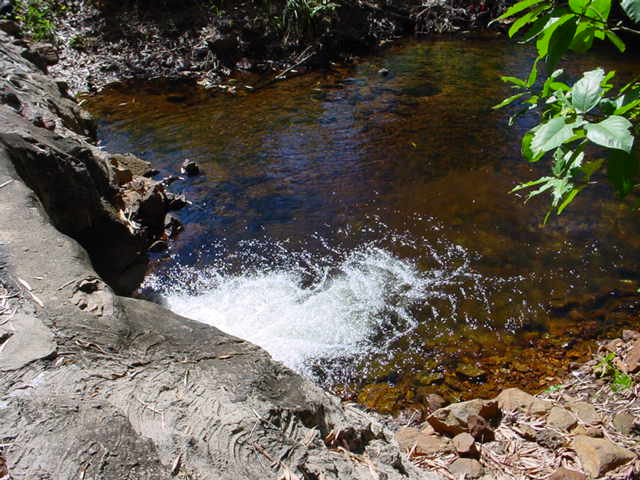 small brook