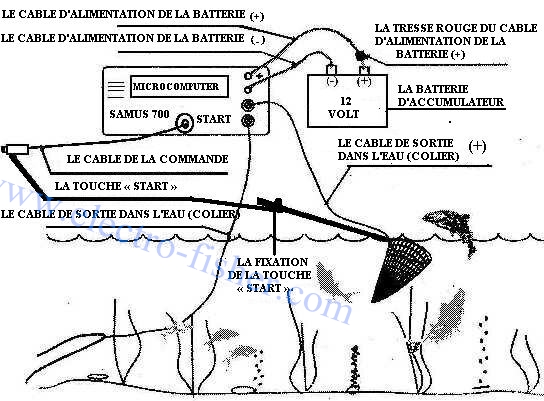 La pêche à krymou sur les lacs la carpe