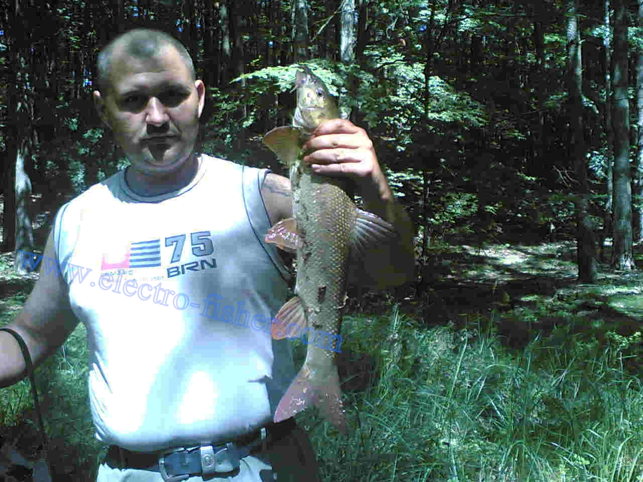 Trouts