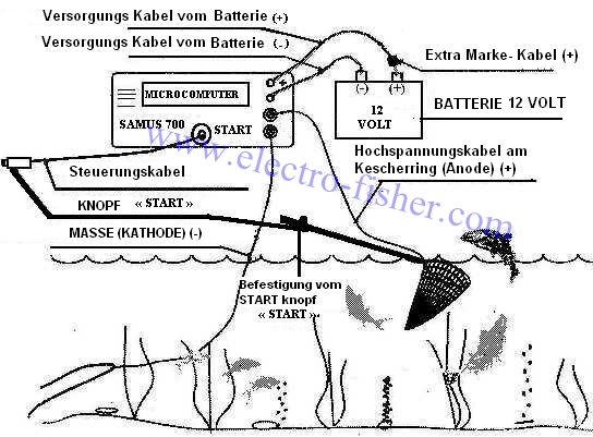 elektrofischerei