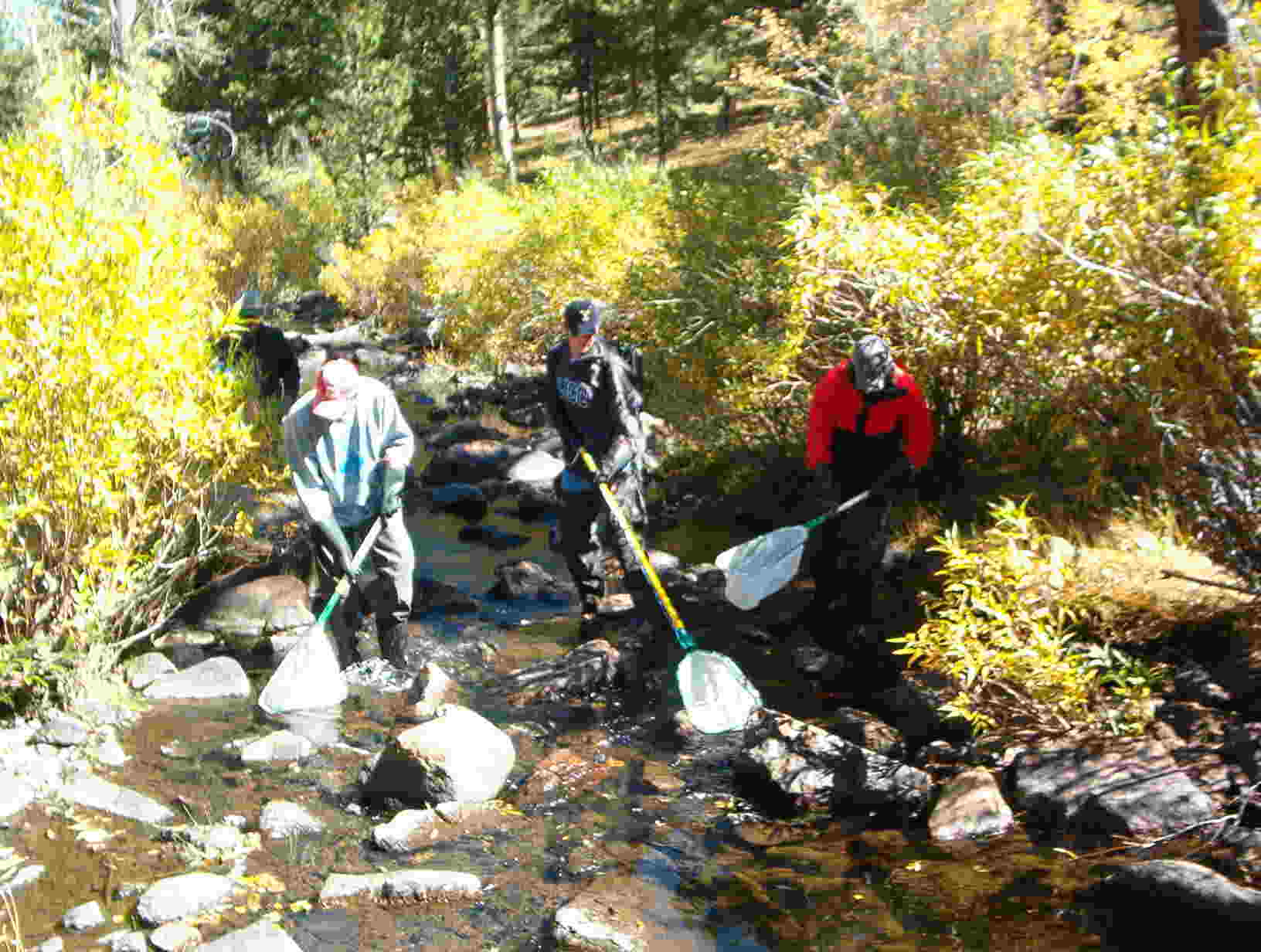 Backpack electrofishing in the USA