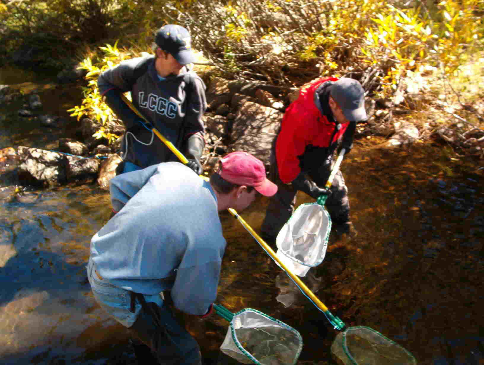Backpack electrofishing in the USA