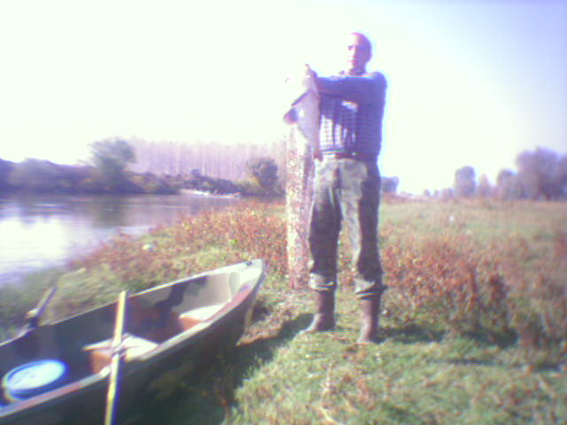 catfish-river