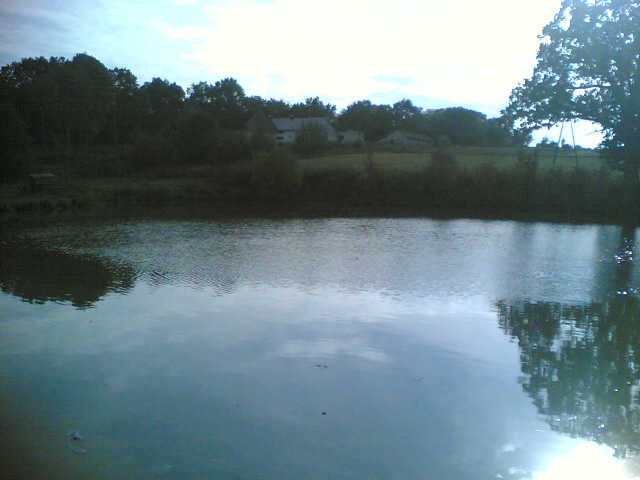 Staw 