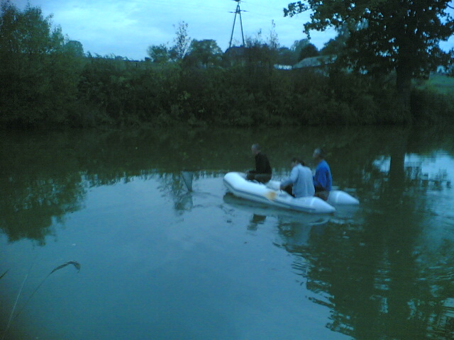 Staw 