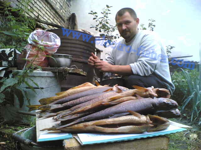 Trouts