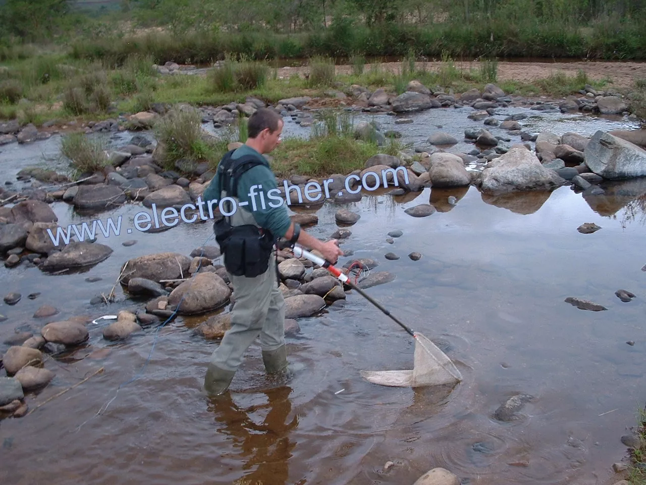 Electrofishing in small brook