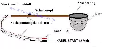 elektrofischerei