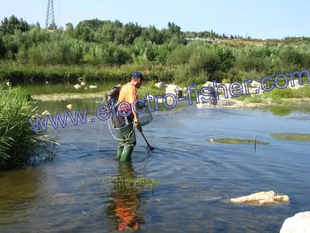 Peche electrique